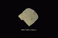 藏品(陶片)的圖片